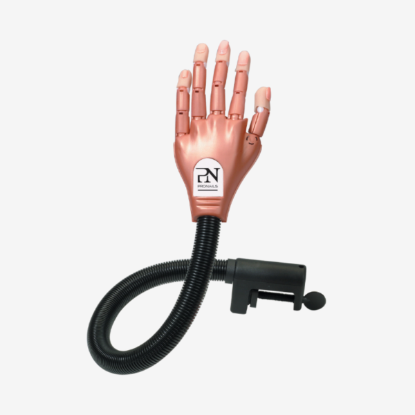 Nail Trainer Hand & 2x50 nails (Sizes 6&9)