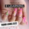 Pronails E-learning 70258