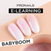 Pronails E-learning 70250