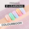 Pronails E-learning 70264